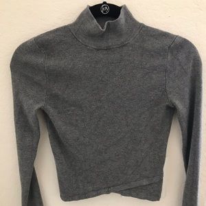 Express Cropped Turtle Neck